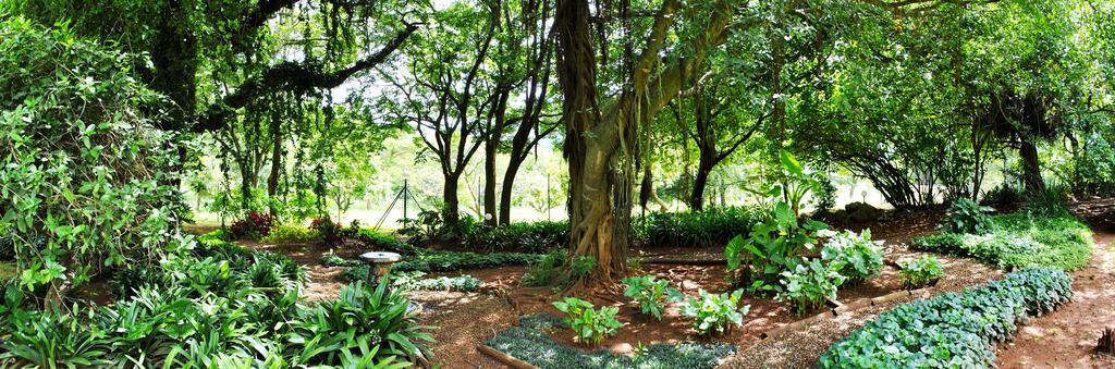 Mount Azimbo Lodge Louis Trichardt Buitenkant foto